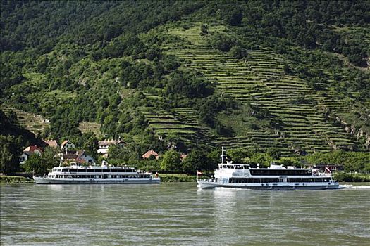 旅游,船,多瑙河,瓦绍,下奥地利州,奥地利,欧洲