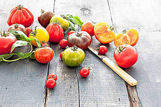 选择,彩色,西红柿