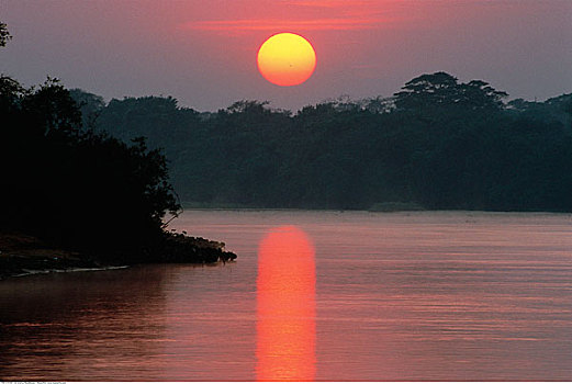 日落,潘塔纳尔,巴西