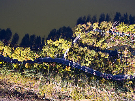 秦皇岛,戴河生态园,航拍,全景,园林