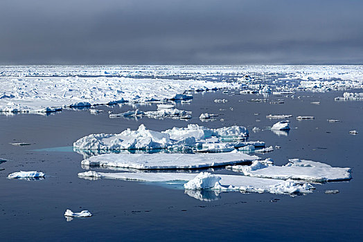 浮冰,边界,北冰洋,斯匹次卑尔根岛,挪威,欧洲