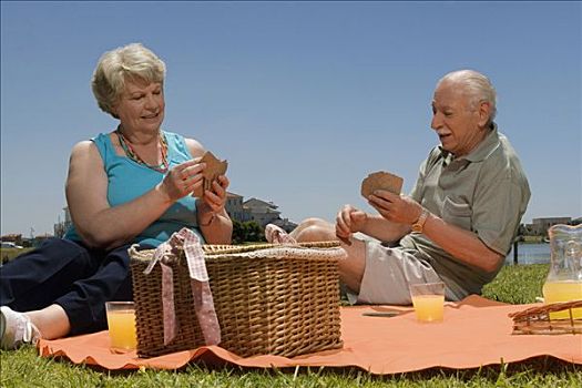 老年,夫妻,纸牌,野餐
