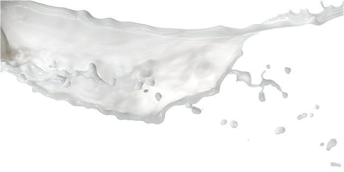 牛奶,溅,白色背景,背景