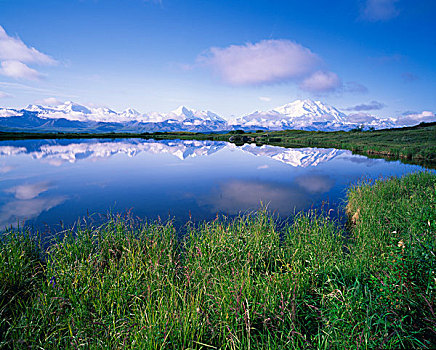 山,反射,水塘,德纳利国家公园和自然保护区,阿拉斯加,美国