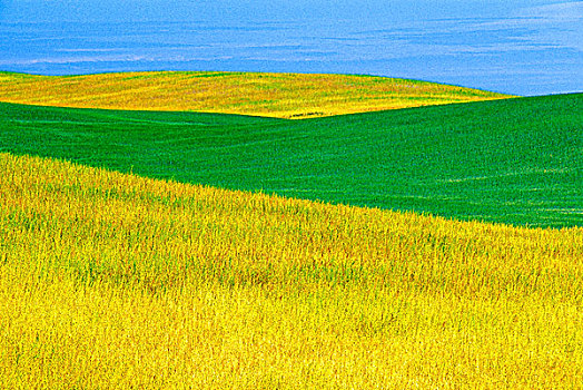 草原,风景,萨斯喀彻温,加拿大