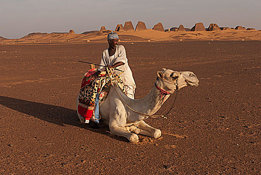 男人,单峰骆驼,沙子,金字塔,麦罗埃,后面,努比亚,荒芜,苏丹,非洲
