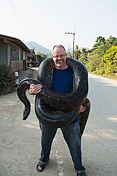 男人,拿着,巨蟒,清莱,泰国