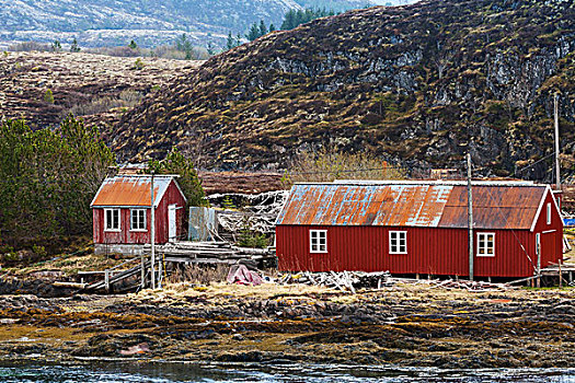 传统,红色,木质,捕鱼,谷仓,房子,挪威,海岸