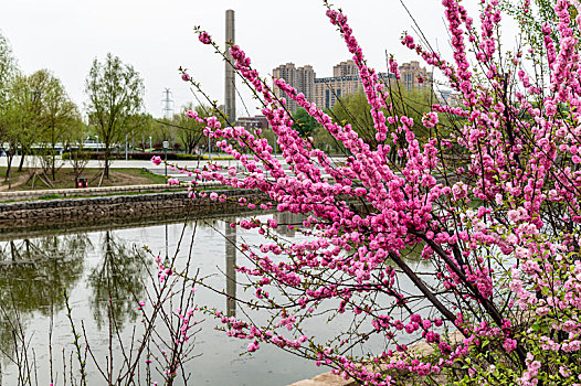 初春的中国长春城区景观