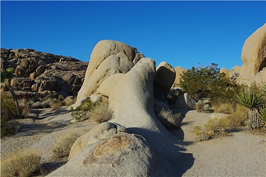 怪诞,岩石构造,约书亚树国家公园,加利福尼亚
