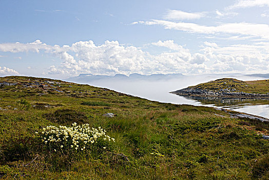 挪威,高地,风景,湖