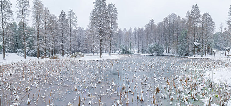 武汉东湖园林雪景
