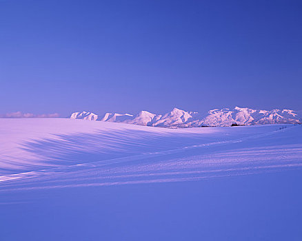 雪原,山脉,山