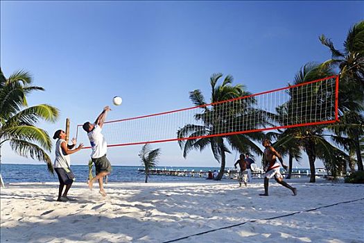 游客,玩,沙滩排球,棕榈树,佩特罗,岛屿,伯利兹,中美洲,加勒比海
