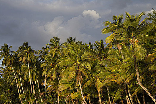 加勒比海,多米尼加共和国