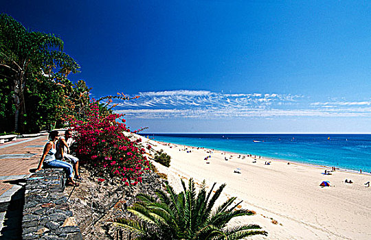 海滩,富埃特文图拉岛,加纳利群岛,西班牙