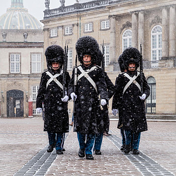 皇家,救生员,走,正面,宫殿,雪,天气,哥本哈根,丹麦,欧洲