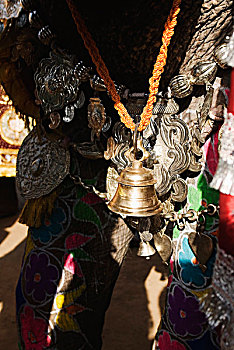 铃,颈部,大象,节日,斋浦尔,拉贾斯坦邦,印度