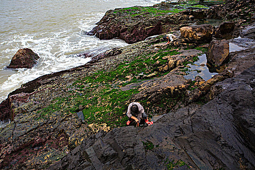 礁石,劳作,采挖,贝壳,海浪