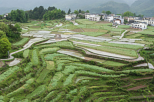 贵阳高坡乡,石门梯田景色美如画