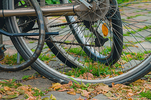 自行车,轮子,许多,枯叶,人行道,秋天