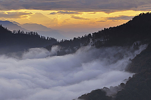 日出,风景,山,山丘,喜马拉雅山,尼泊尔