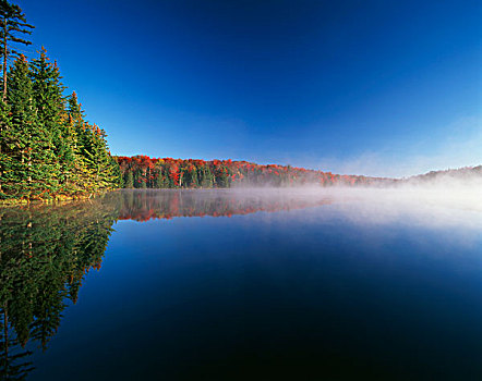 美国,佛蒙特州,亚当斯,水库,伍德福德,州立公园,秋天,树,反射,大幅,尺寸
