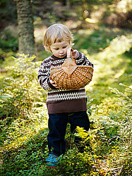 女孩,采蘑菇,树林,瑞典