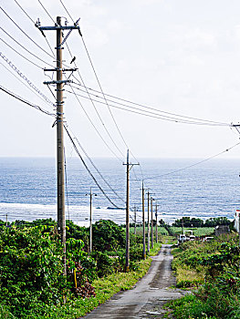 道路,石垣岛,冲绳,日本