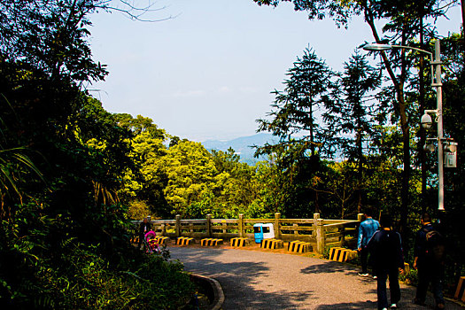 广州三月阳光明媚,春天帽峰山公园,踏青,春游