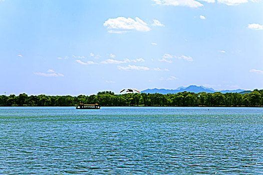 颐和园昆明湖上的游船和空中的水鸟