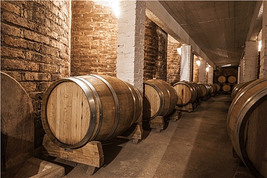 葡萄酒桶,地窖,门多萨,省,阿根廷