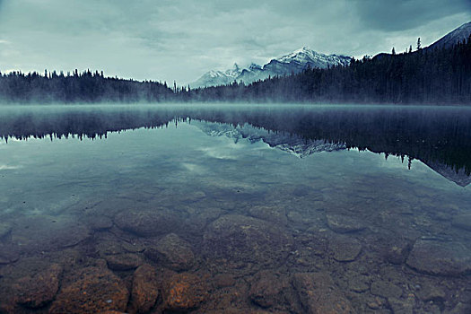 湖,晨雾,雪,冰河,山