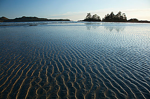 波纹,形态,沙子,海滩,岛屿,靠近,不列颠哥伦比亚省,加拿大