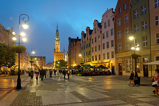 长,市场,市政厅,格丹斯克,博美狗,波兰,欧洲