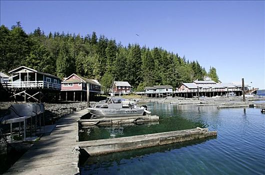 渔村,电报,小湾,温哥华岛,不列颠哥伦比亚省,加拿大
