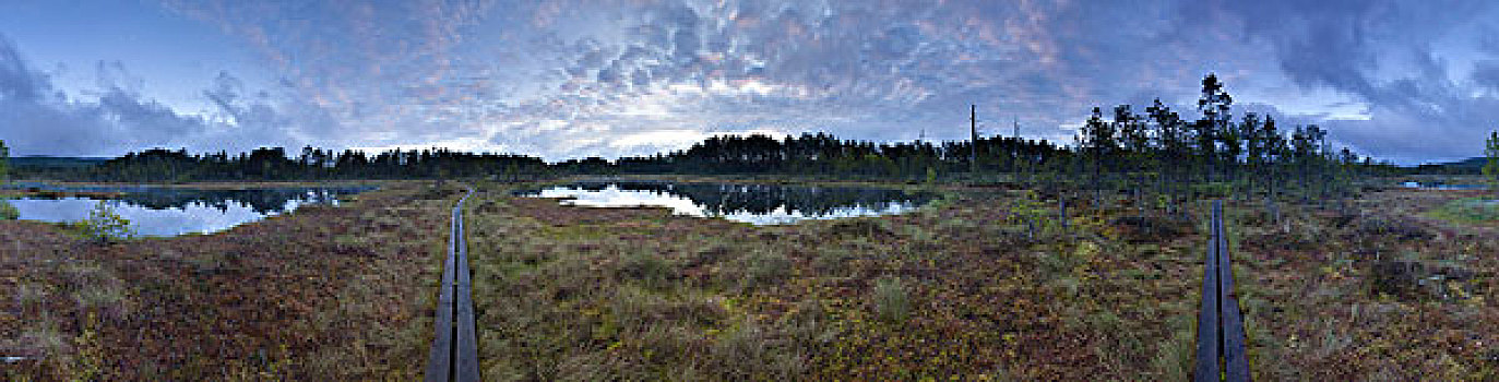 自然保护区,瑞典,欧洲