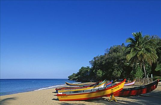 渔船,海滩,波多黎各,加勒比海