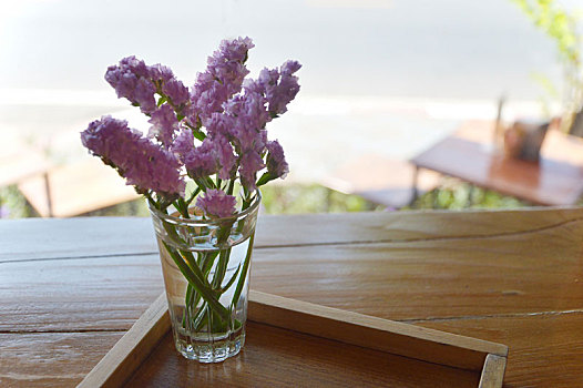匙叶草属植物,花,紫色