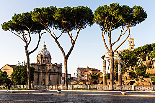 松树,罗马,意大利,正面,古罗马广场,寺庙,日出,世界遗产