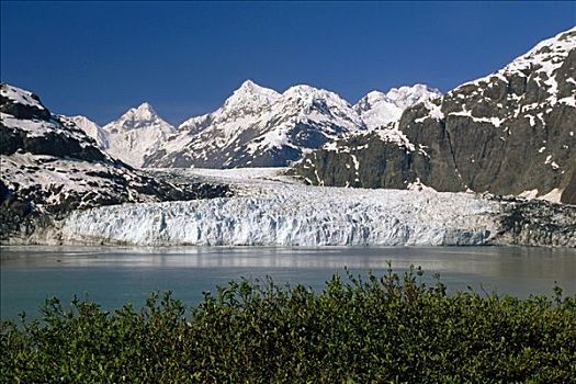 冰河,冰河湾国家公园,夏天,景色