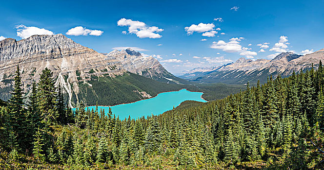 佩多湖,班芙国家公园,加拿大,落基山脉,艾伯塔省,北美