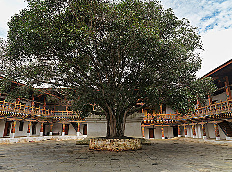 中间,院落,普那卡宗,山谷,普那卡,地区,不丹