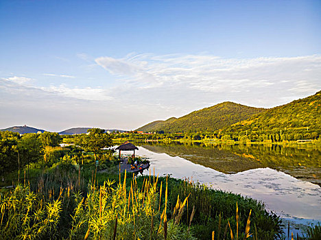 长广溪湿地