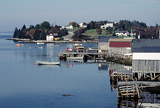 加拿大,新斯科舍省,靠近,哈利法克斯,风景,渔船