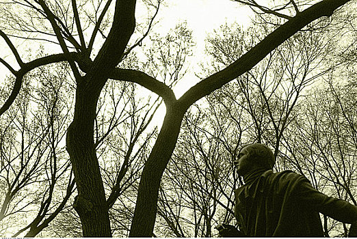 雕塑,树,中央公园,纽约,美国