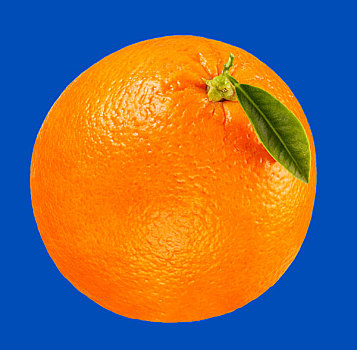 橙子,蓝色背景