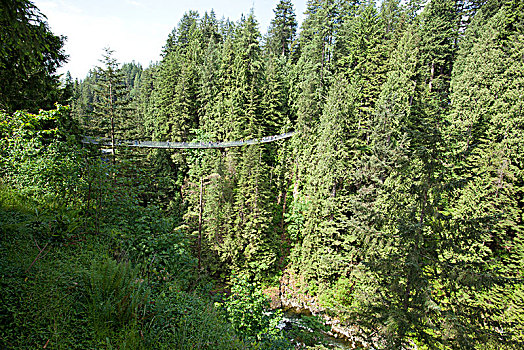 卡毕兰诺,吊桥,温哥华,不列颠哥伦比亚省,加拿大