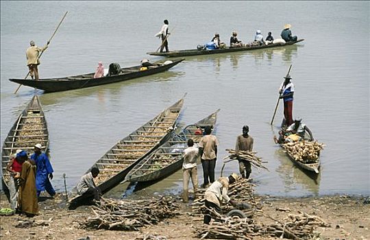 收集,独木舟,渔村,堤岸,尼日尔河