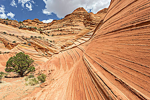 岩石构造,圆锥形帐篷,南,丛林狼,大理石,峡谷,亚利桑那,美国,北美